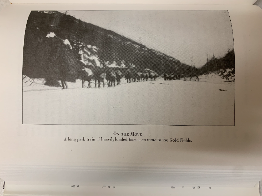Two Years in the Klondike and Alaskan Gold Fields 1896-1898: A Thrilling Narrative of Life in the Gold Mines and Camps, Book, 1998