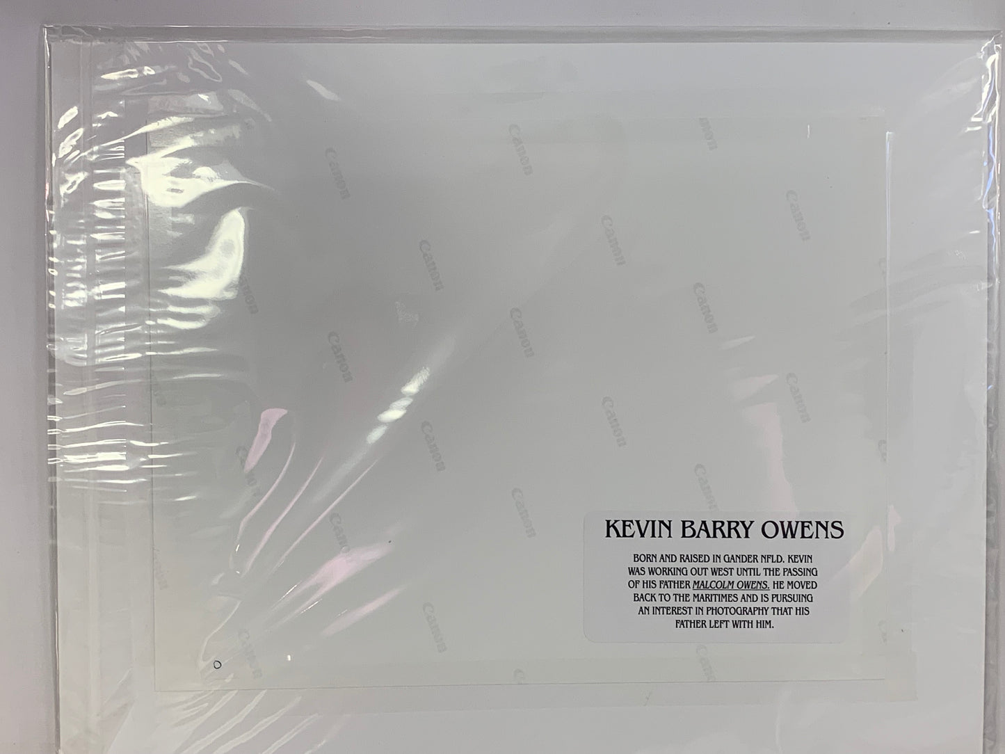 Canada Mission Monarque Yellow Butterfly, Kevin Barry Owens Professional Photographer, Signed, Matted, Photos, Gander Newfoundland Canada