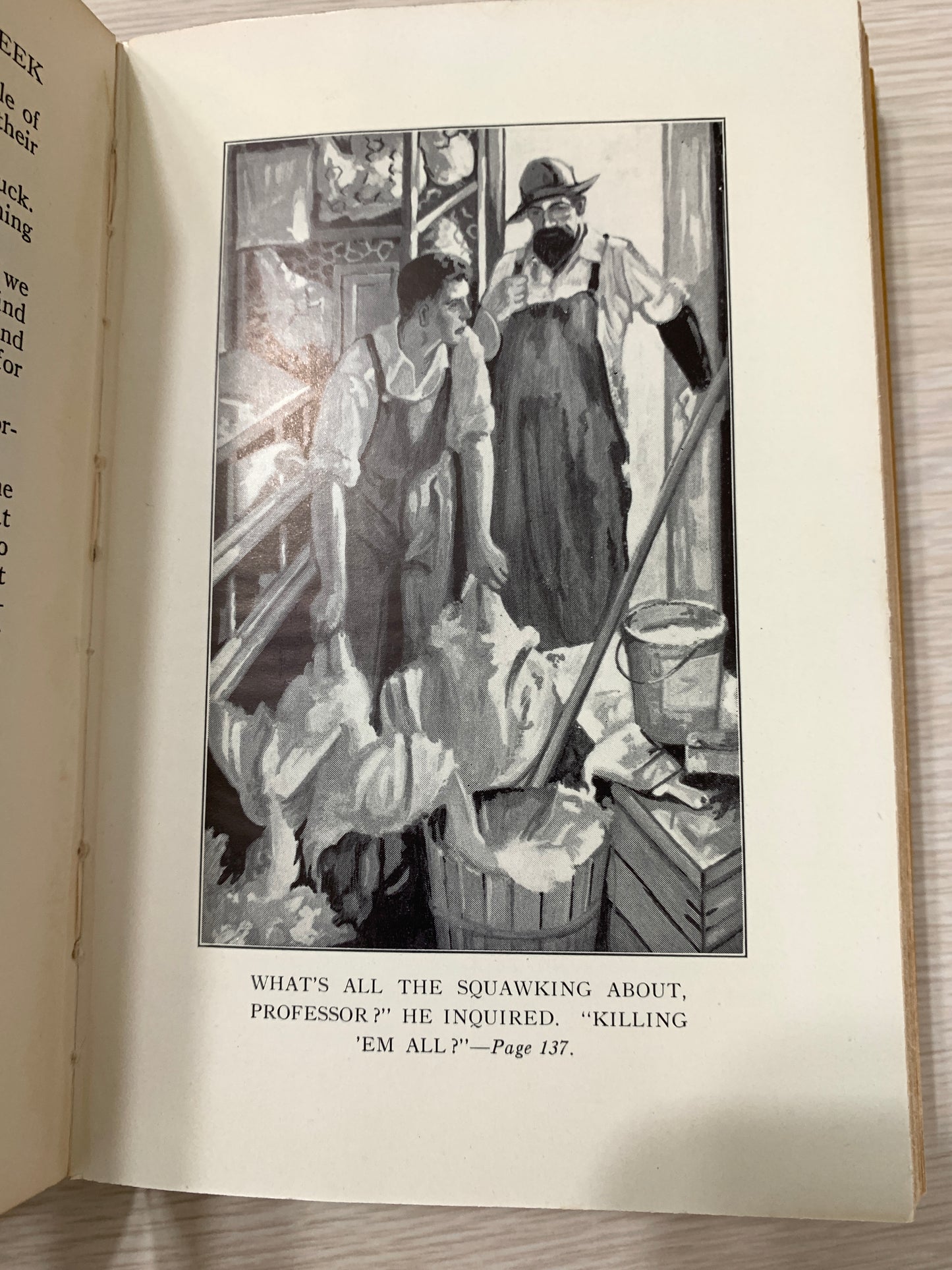 The Race For Yellow Creek, The Railroad Scouts Series, Lovell Coombs, 1933