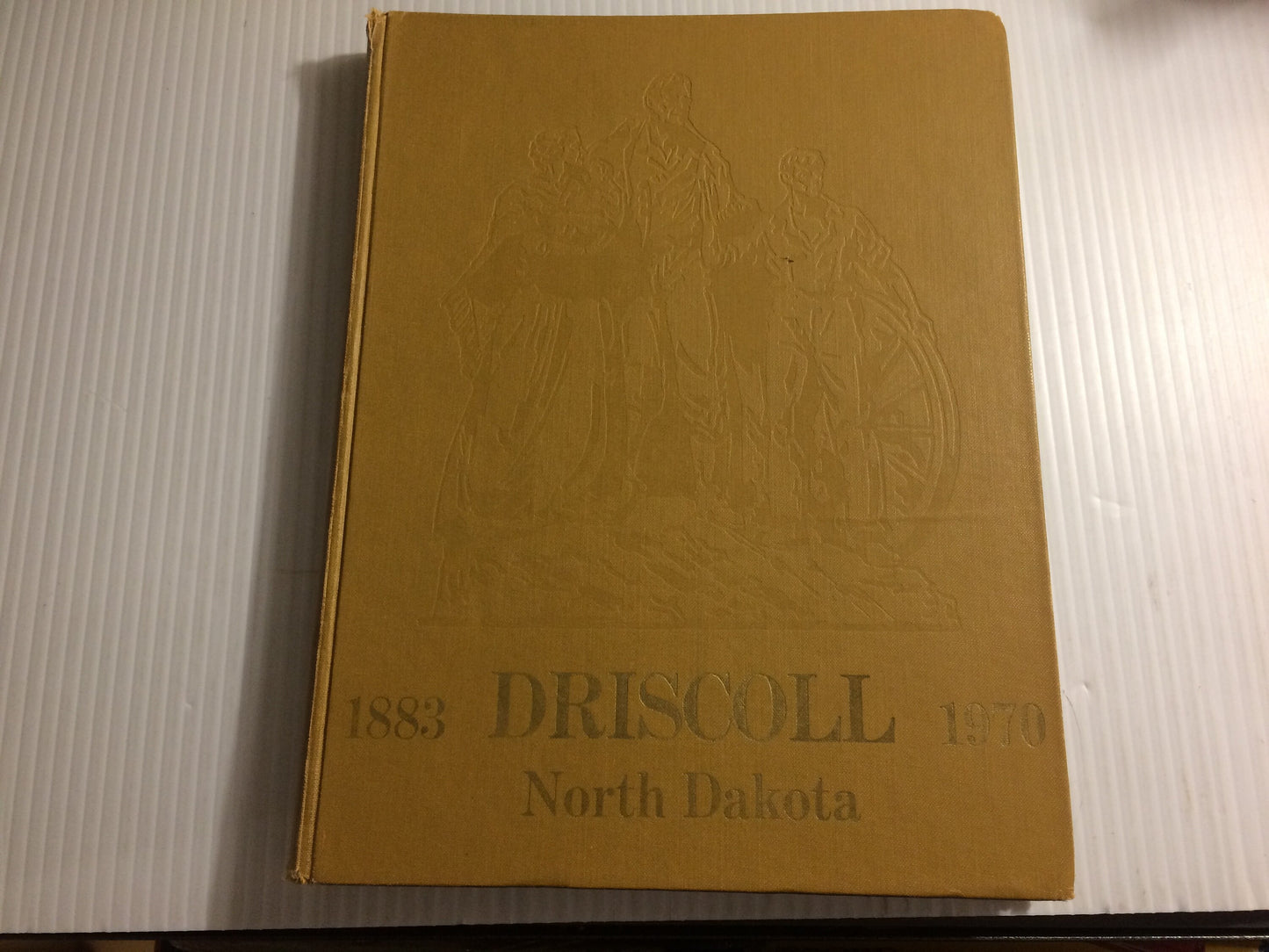 Driscoll North Dakota 1883-1970 History Book, Remembrances, Family, Stories, United States, Town, Local, Frederick,