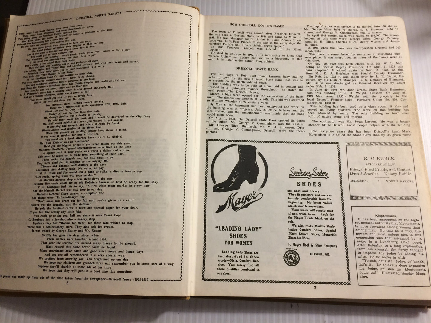Driscoll North Dakota 1883-1970 History Book, Remembrances, Family, Stories, United States, Town, Local, Frederick,