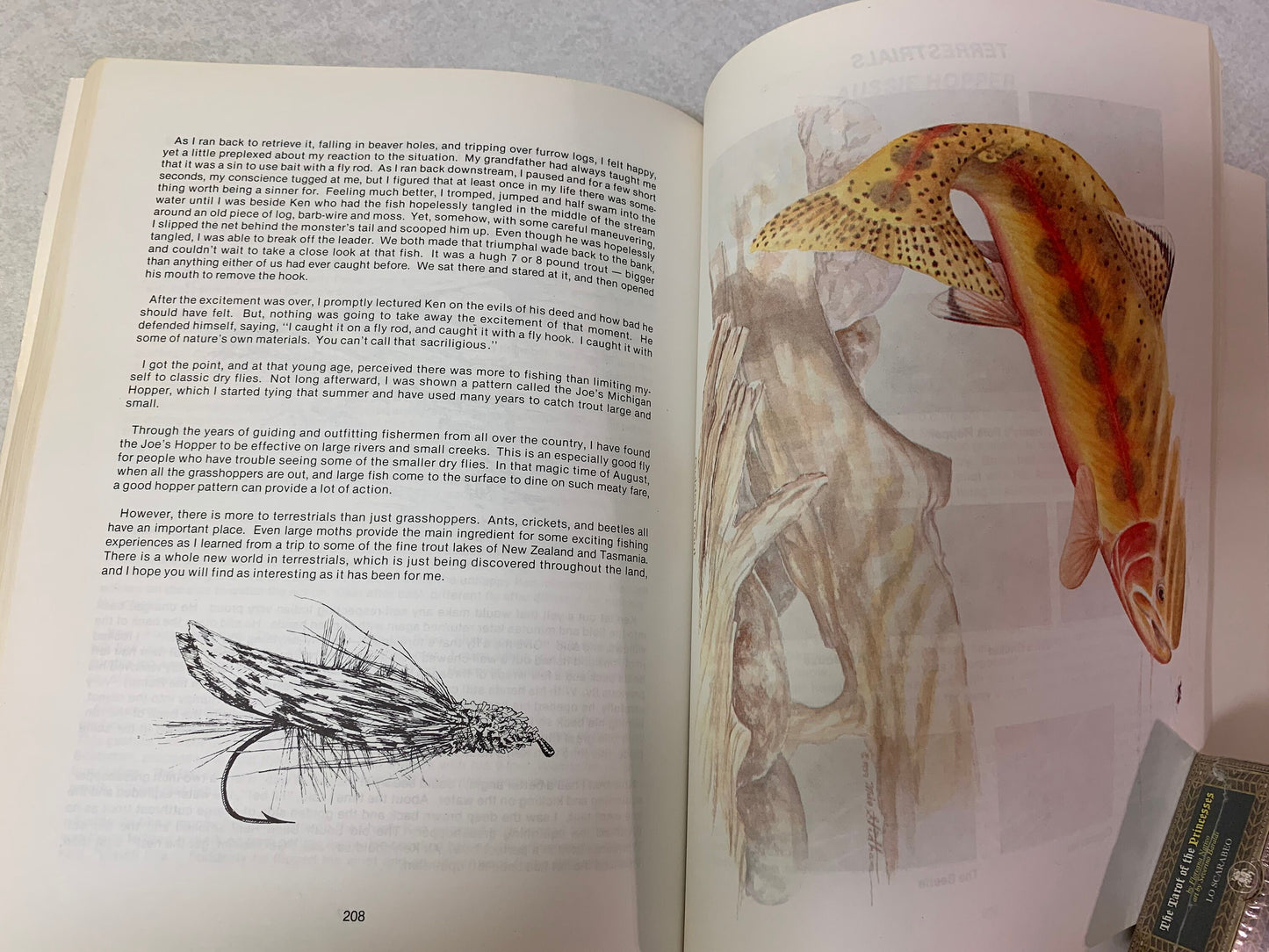 Western Trout Fly Tying Manual, Fishing Flies, Barbless Hooks, Knots, Instruction Book, Tools, Materials, Hobby, Craft, Fisherman, 1980,
