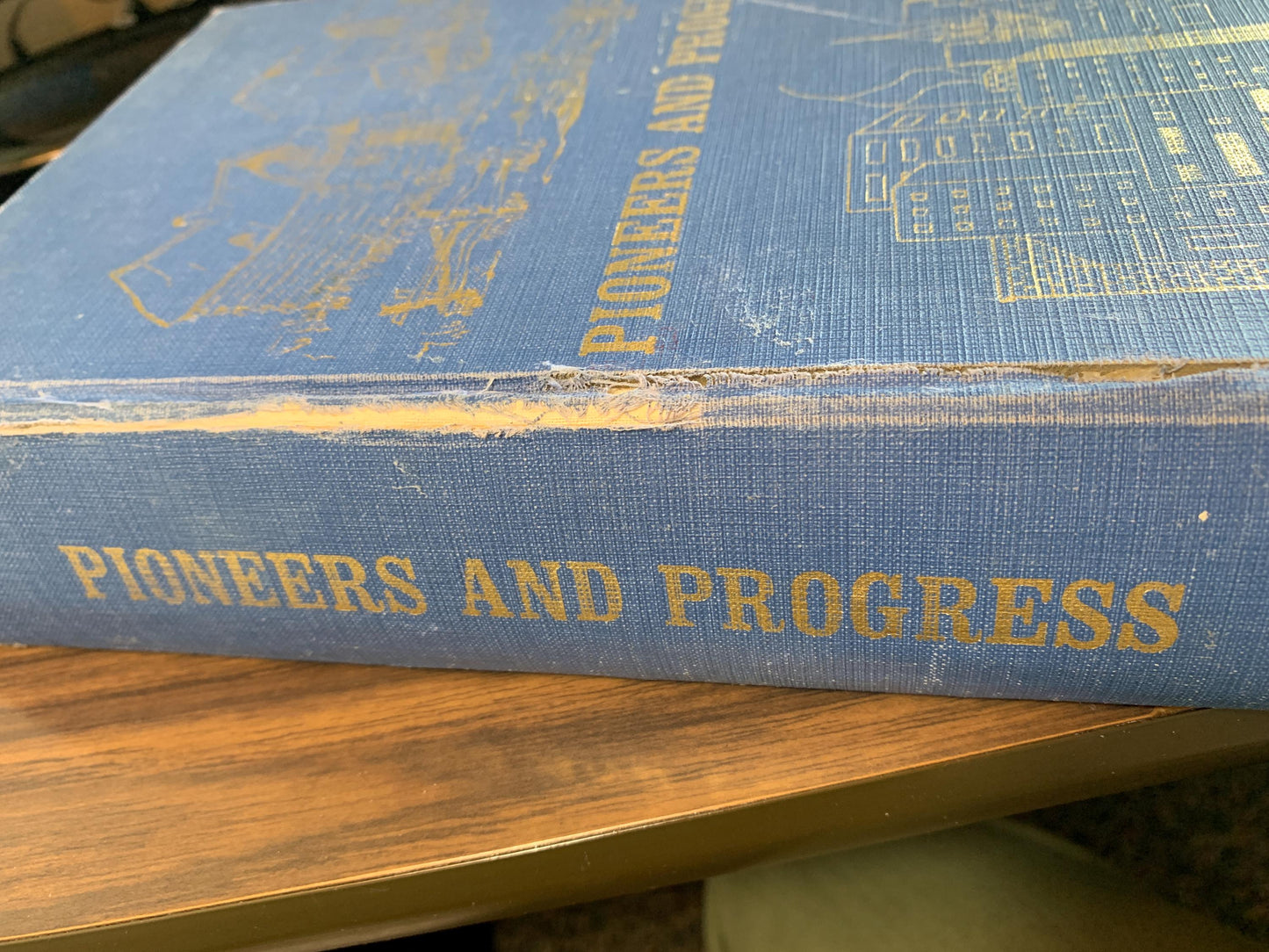 Pioneers and Progress History Book, 1974, Alix, Clive, Carroll, Stanton, Westling, Alberta Memories, History, Family, Community, Life Story