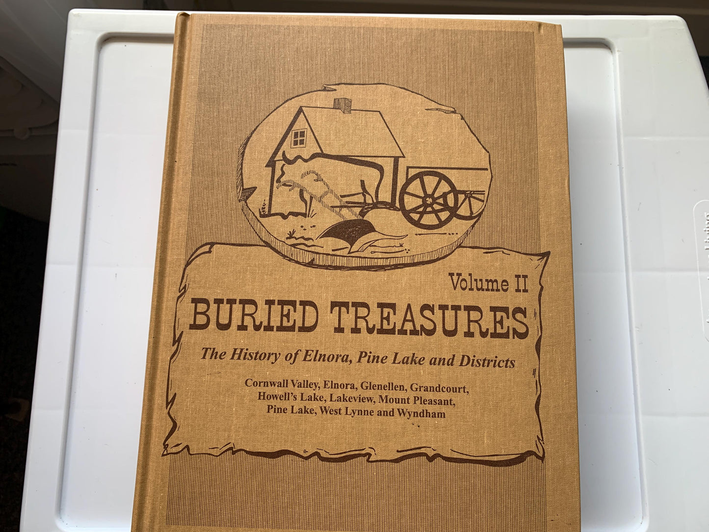 Buried Treasures Volume II, History Elnora, Pine Lake and Districts, Alberta Canada 1998