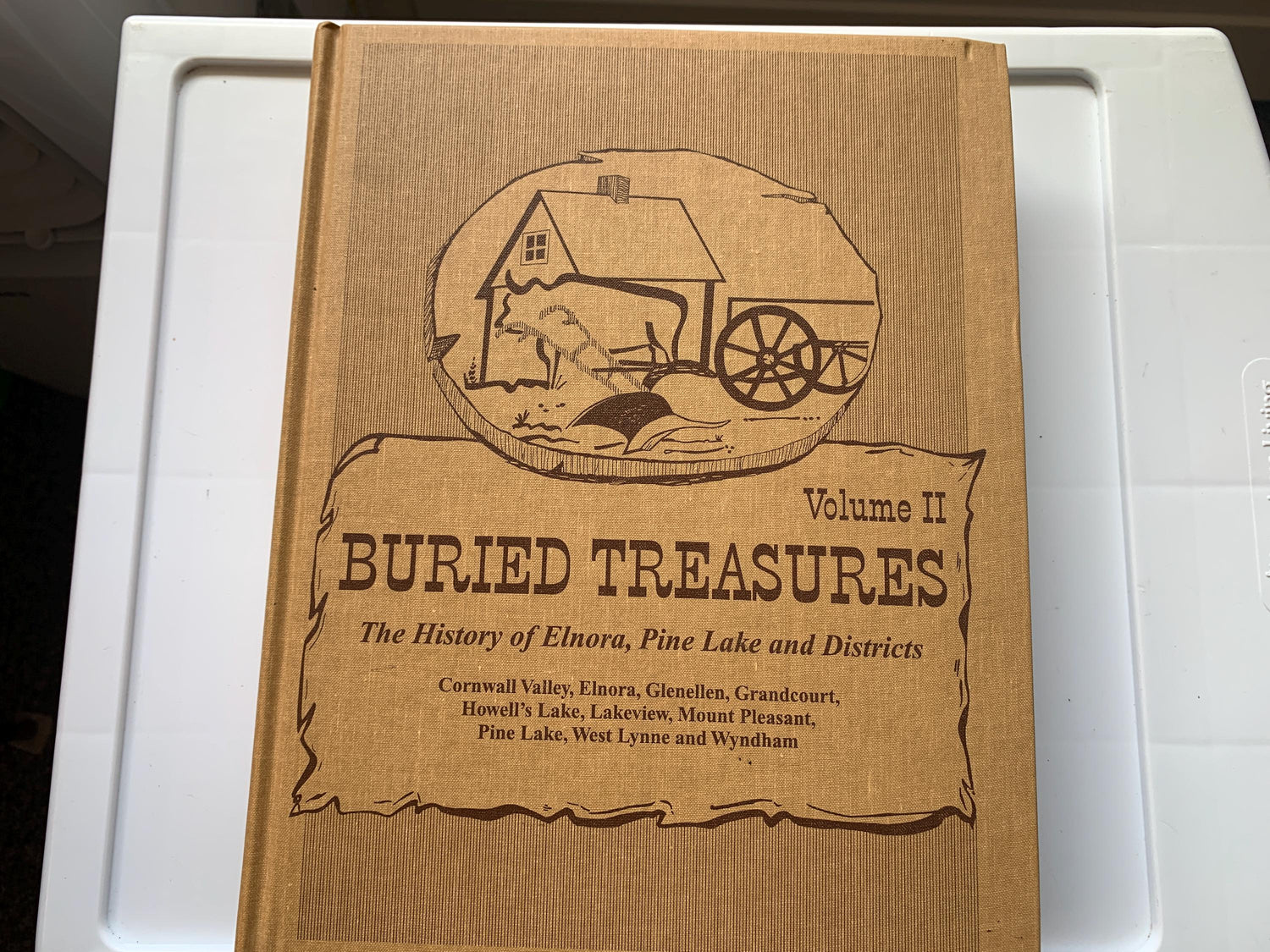 Buried Treasures Volume II, History Elnora, Pine Lake and Districts, Alberta Canada 1998