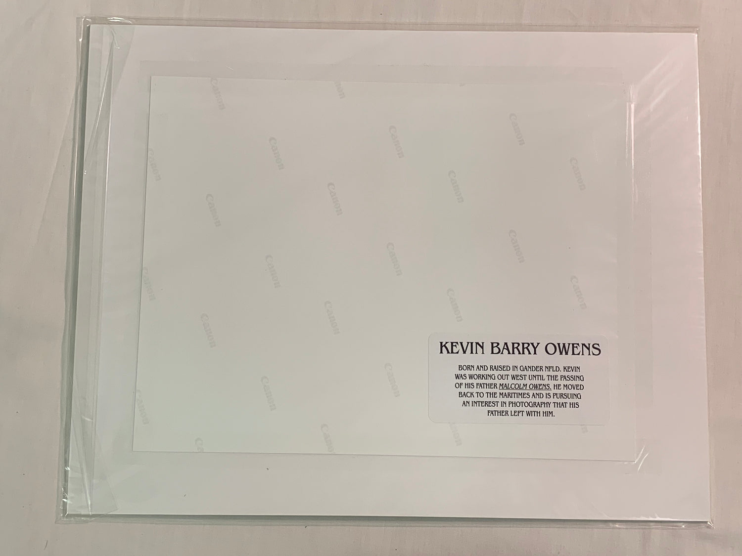 White Tail Deer, Kevin Barry Owens Professional Photographer, Signed, Matted, Photos, Gander Newfoundland Canada